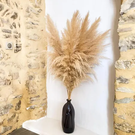 Apartament Du Platane Saint-Laurent-des-Arbres