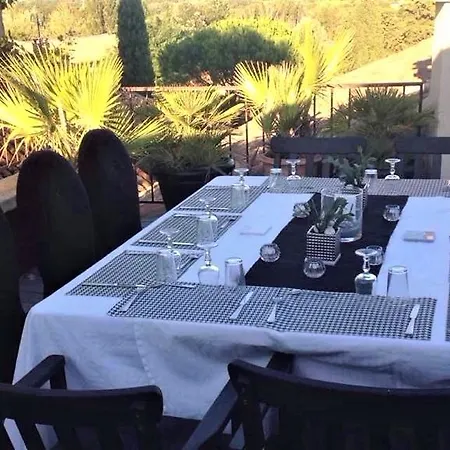 Du Platane Saint-Laurent-des-Arbres